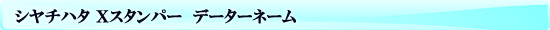 シャチハタ Ｘスタンパー　データー印