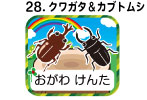 ２８．クワガタ＆カブトムシ